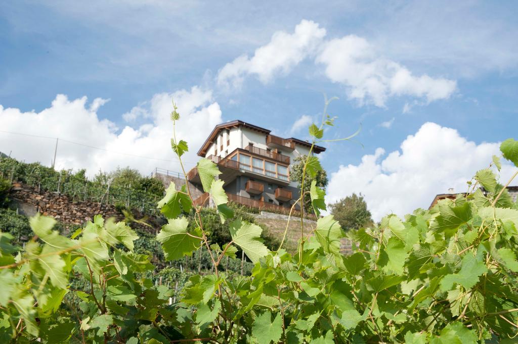 Wine Hotel Retici Balzi Poggiridenti エクステリア 写真